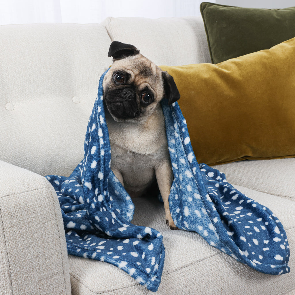 2-Pack Pet Blankets, Blue with dog