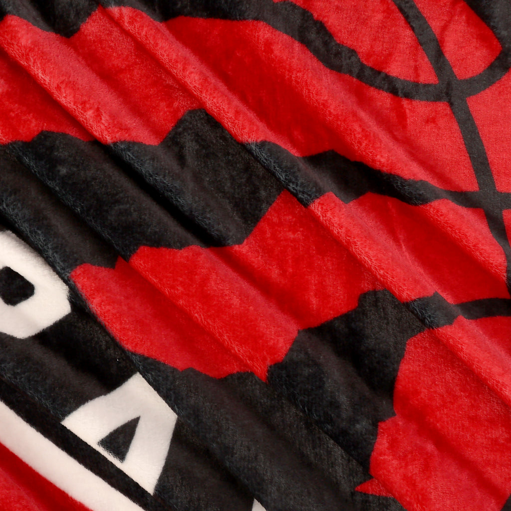 NBA Toronto Raptors Throw, 50" x 60" close up