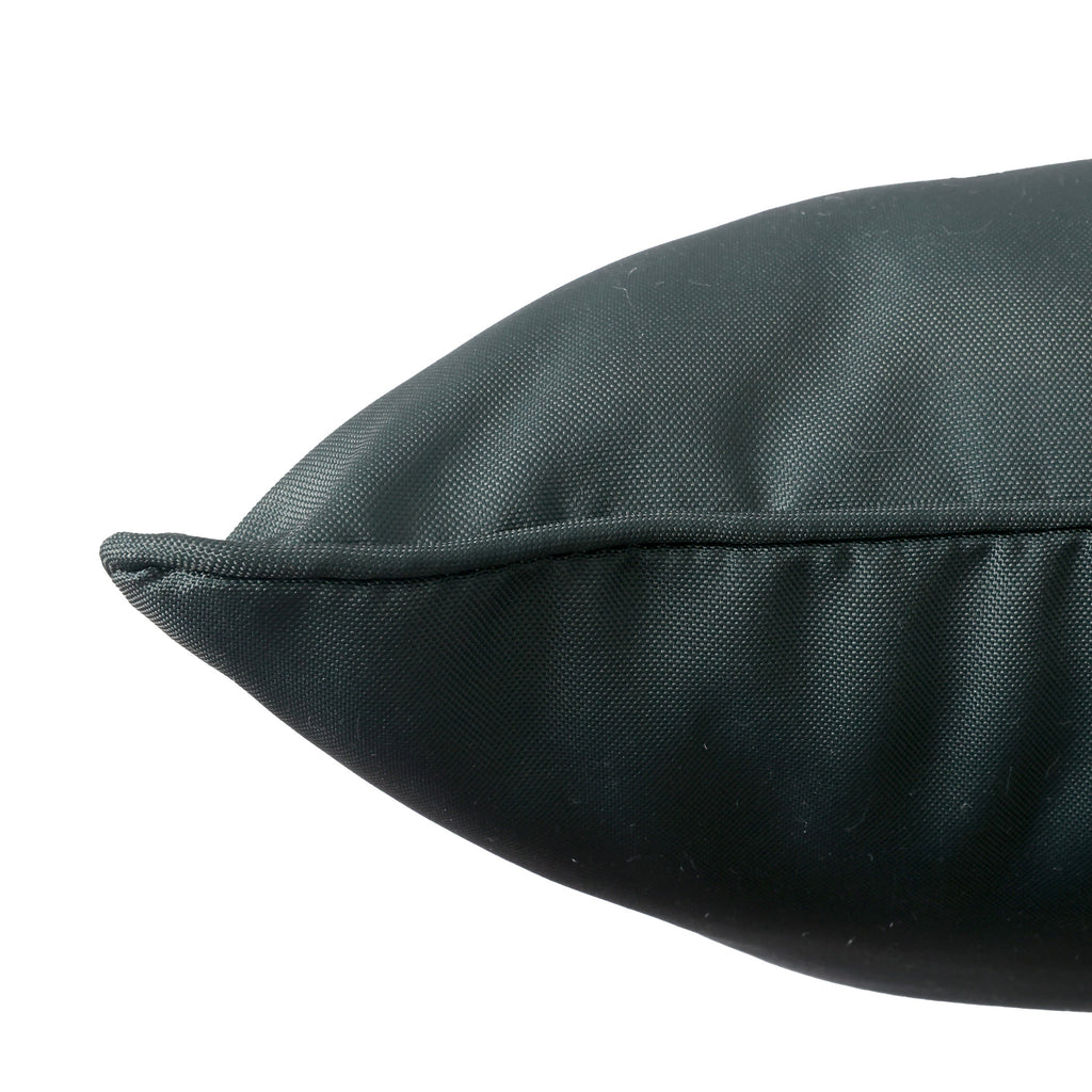 2-Pack Indoor/Outdoor Pillows, Green close up