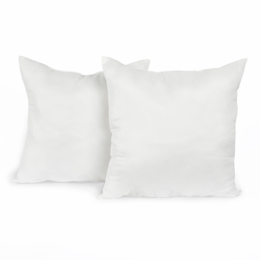 2 20 by 20 inch pillow insert on white background